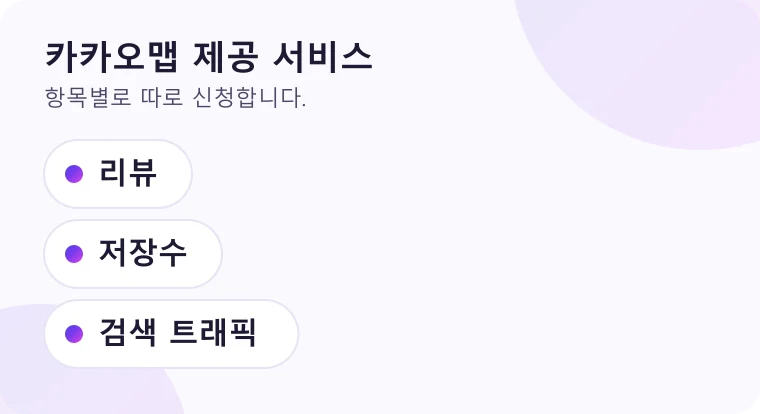 카카오맵에서 신청할 수 있는 서비스 항목을 목록으로 정리한 그림