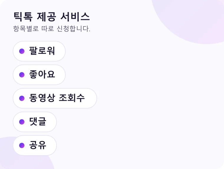틱톡에서 신청할 수 있는 서비스 항목을 목록으로 정리한 그림